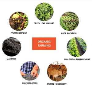 Organic farming
